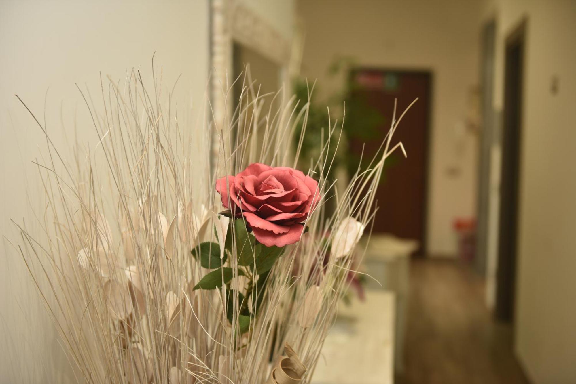ローマ In Terrazza Da Giusy Bed & Breakfast エクステリア 写真