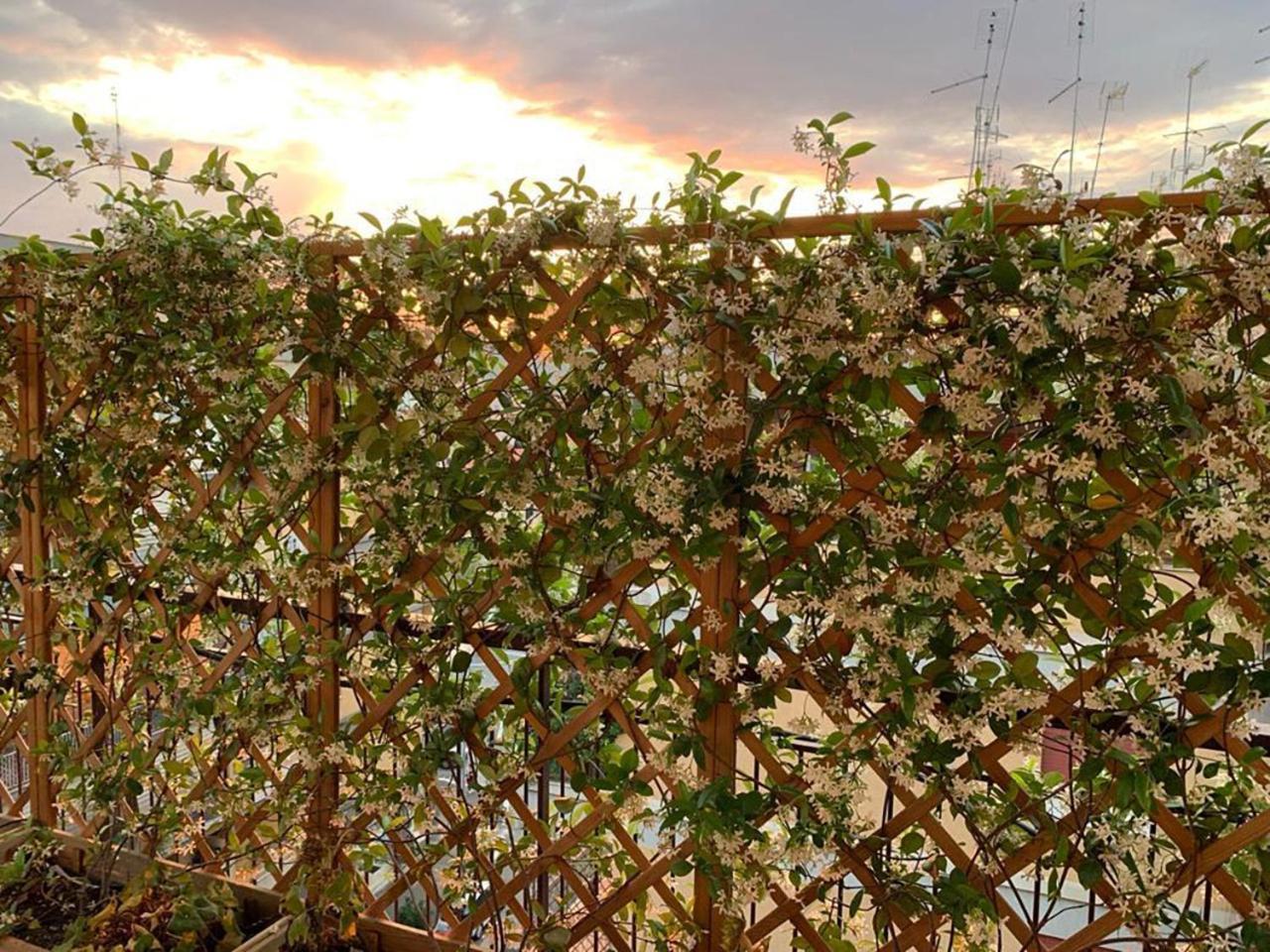 ローマ In Terrazza Da Giusy Bed & Breakfast エクステリア 写真